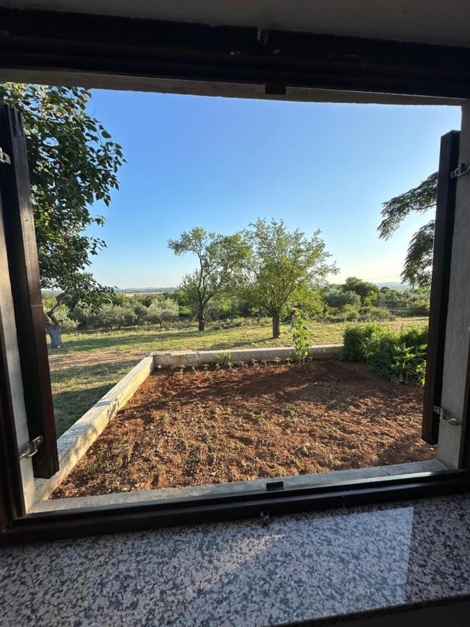 Relax And Unwind: Family-Friendly House Near Zadar In Zagrad Villa ภายนอก รูปภาพ